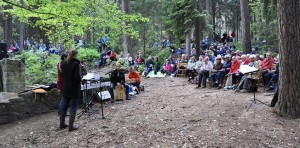 wald2015a