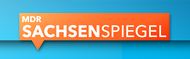 sachsenspiegel