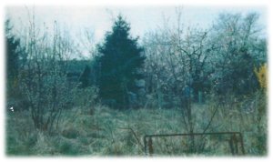Verwilderte Müllhalde