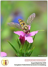 gb2016-08-09